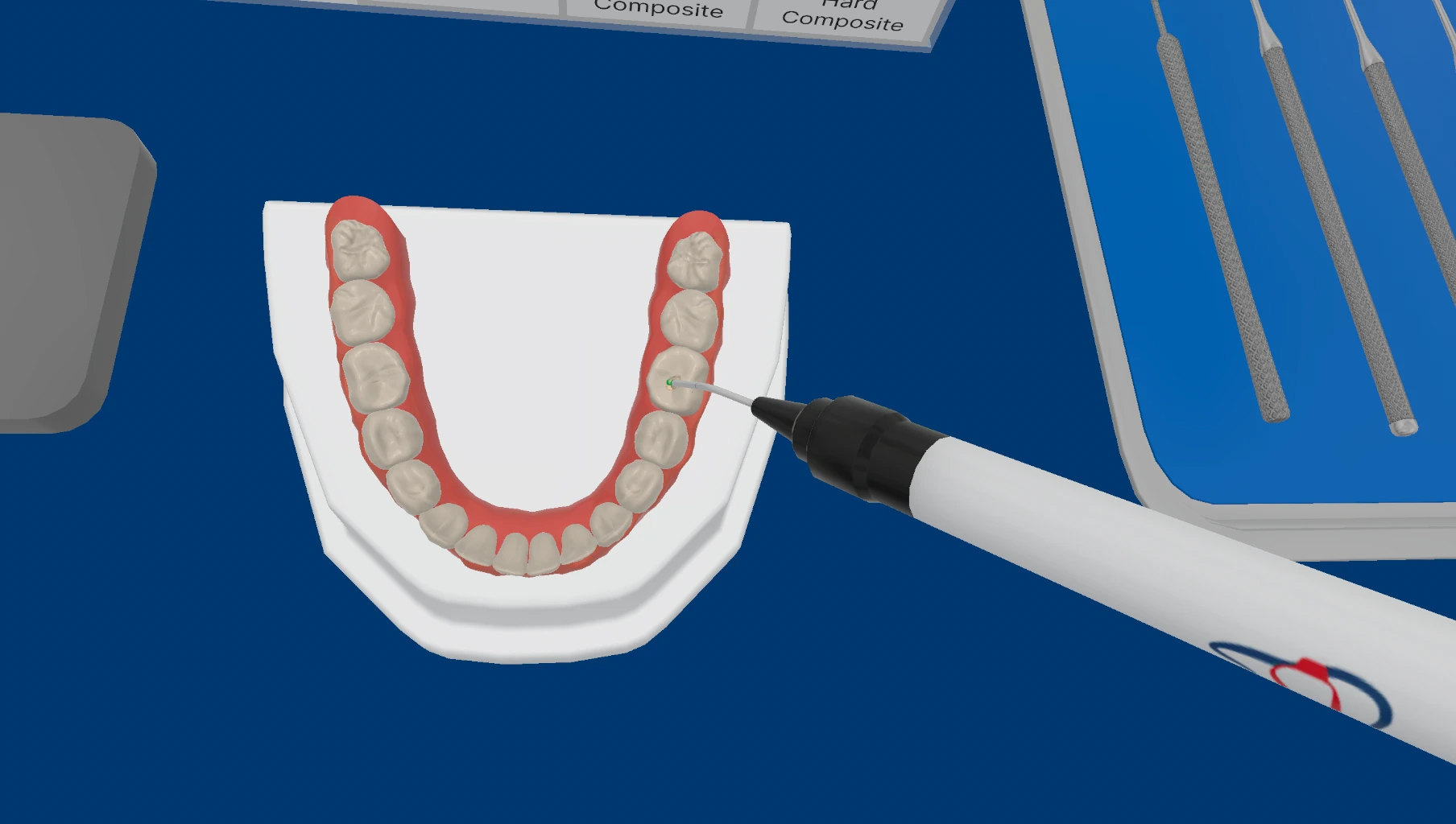 An anatomically realistic molar displayed in the DentiXR simulator